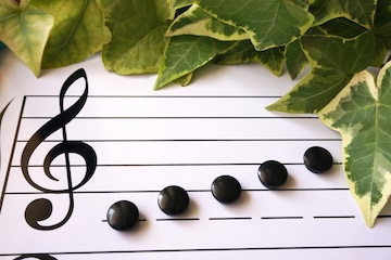 楽典・ソルフェージュ教室 池袋